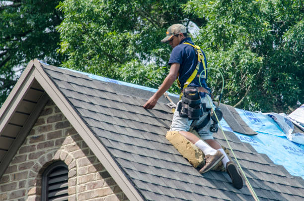 Best Shingle Roofing Installation  in Sand Ridge, NY